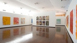 Aida Tomescu Paintings and Drawings, ANU Drill Hall Gallery, 2009