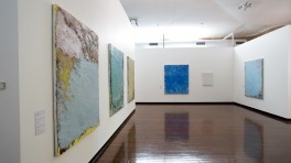 Aida Tomescu Paintings and Drawings, ANU Drill Hall Gallery, Exhibition 2009