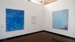 Aida Tomescu Paintings and Drawings, ANU Drill Hall Gallery, Exhibition 2009