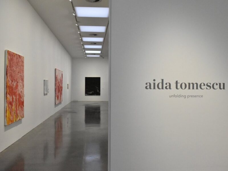 'Aida Tomescu: Unfolding Presence', installation view, Orange Regional Gallery, Orange, 3 Dec 2021 – 23 Jan 2022