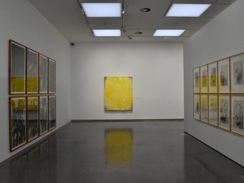 'Aida Tomescu: Unfolding Presence', installation view, Orange Regional Gallery, Orange, 3 Dec 2021 – 23 Jan 2022