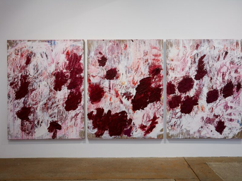 Sewn on to stones in the sky, Installation view, 2019, oil on Belgian linen, 200 x 460cm