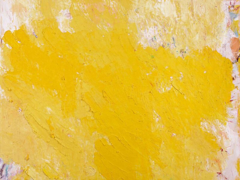 Aida Tomescu, Larkspur, 2011, oil on linen, 183 x 153cm