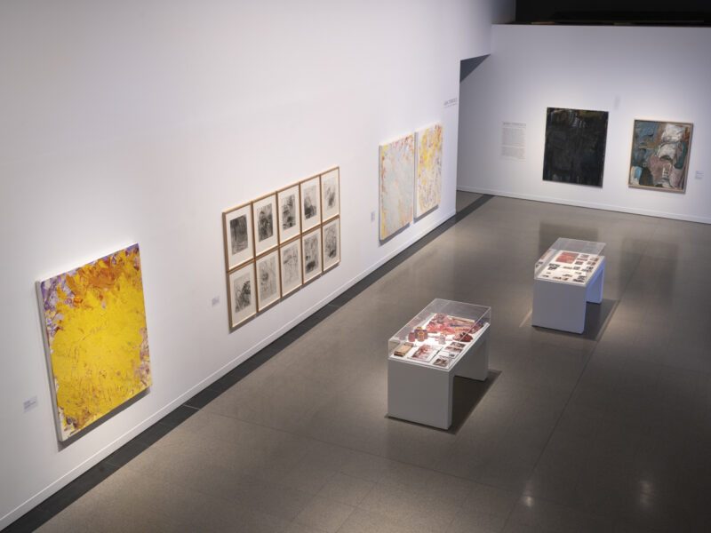 Aida Tomescu, In the midst of happening, John Curtin Gallery 2024, installation view 1
