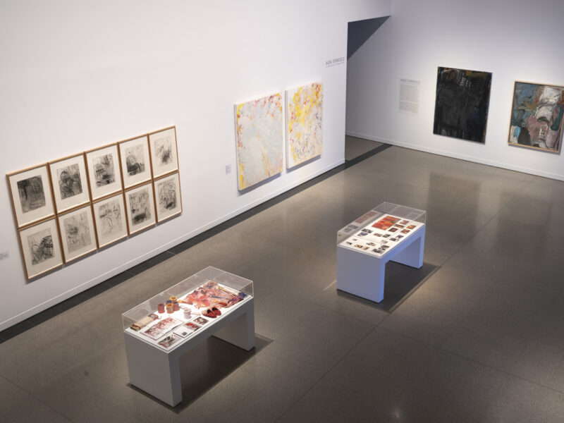 Aida Tomescu, In the midst of happening, John Curtin Gallery 2024, installation view 2