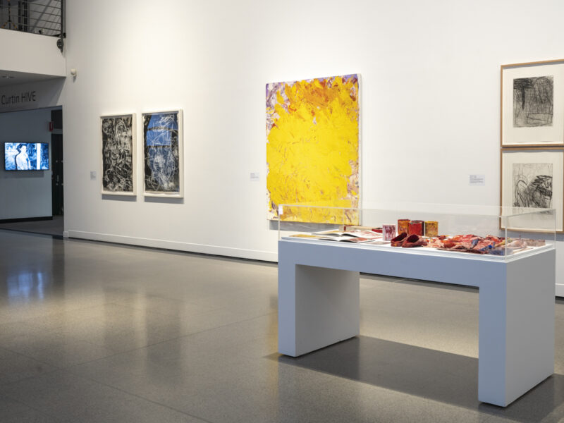 Aida Tomescu, In the midst of happening, John Curtin Gallery 2024, installation view 3
