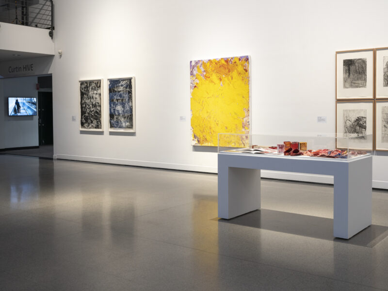 Aida Tomescu, In the midst of happening, John Curtin Gallery 2024, installation view 4