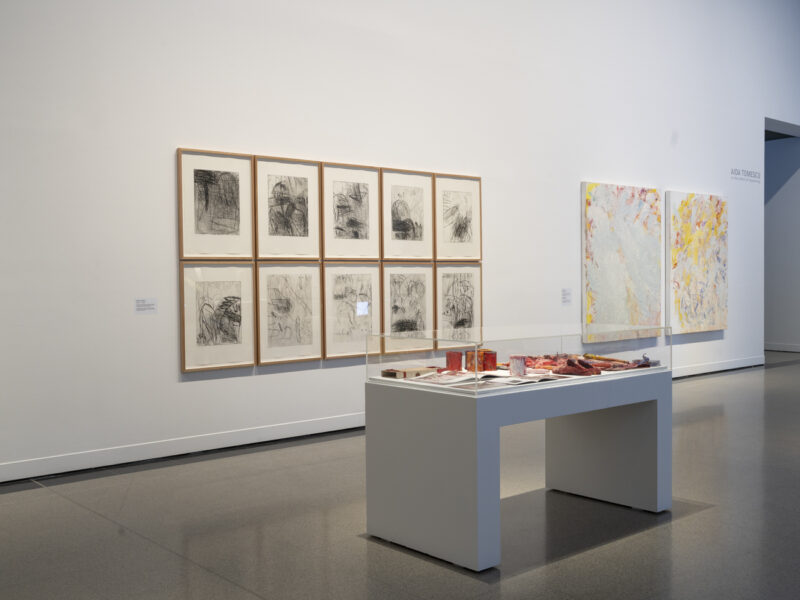Aida Tomescu, In the midst of happening, John Curtin Gallery 2024, installation view 5
