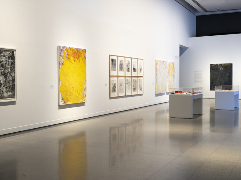Aida Tomescu, In the midst of happening, John Curtin Gallery 2024, installation view 6