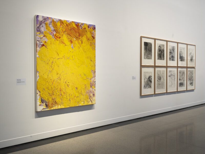 Aida Tomescu, In the midst of happening, John Curtin Gallery 2024, installation view 8