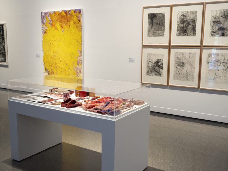 Aida Tomescu, In the midst of happening, John Curtin Gallery 2024, installation view 9