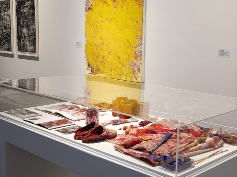 Aida Tomescu, In the midst of happening, John Curtin Gallery 2024, installation view 10