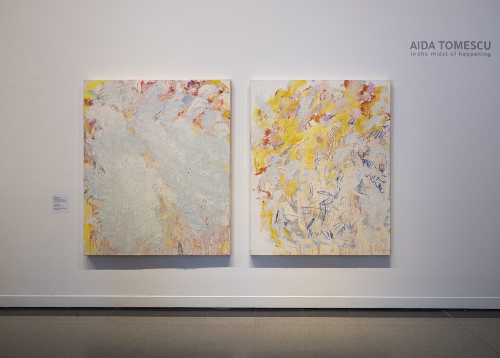 Aida Tomescu, In the midst of happening, John Curtin Gallery 2024, installation view 12