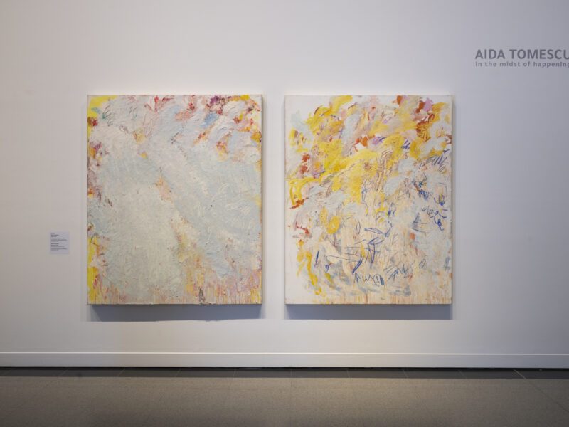 Aida Tomescu, In the midst of happening, John Curtin Gallery 2024, installation view 12