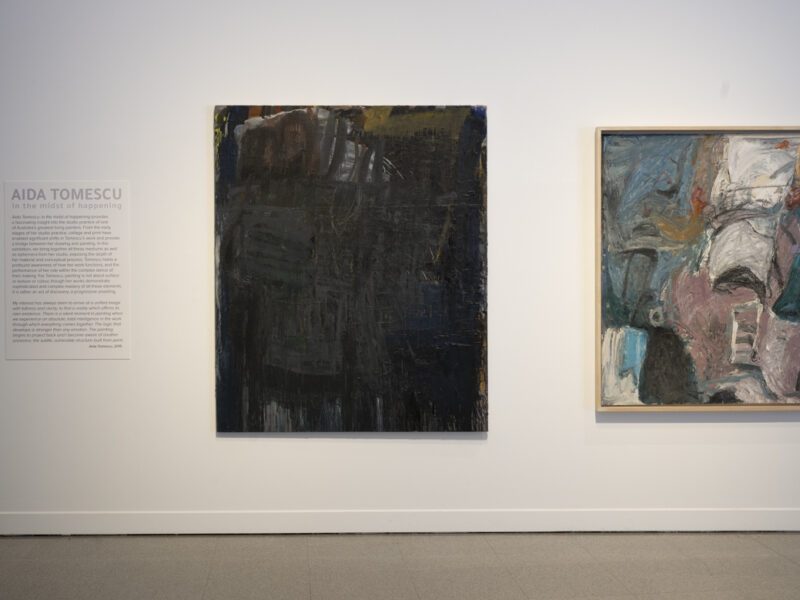 Aida Tomescu, In the midst of happening, John Curtin Gallery 2024, installation view 13