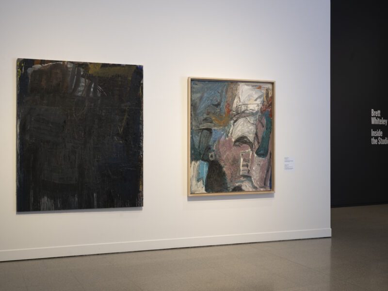 Aida Tomescu, In the midst of happening, John Curtin Gallery 2024, installation view 14