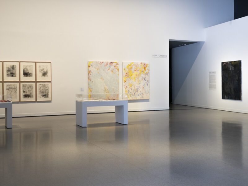 Aida Tomescu, In the midst of happening, John Curtin Gallery 2024, installation view 15