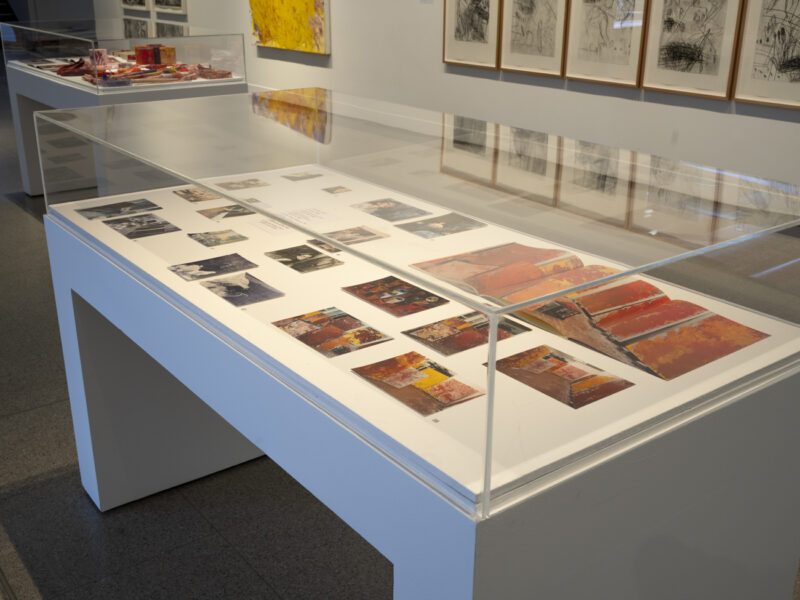 Aida Tomescu, In the midst of happening, John Curtin Gallery 2024, installation view 17