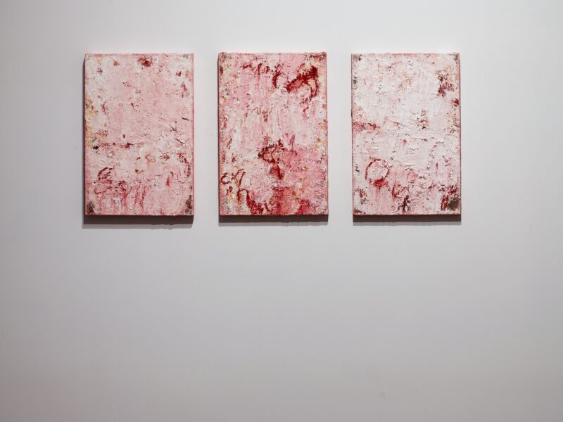 Aida Tomescu, Messiaen, Fox Jensen Gallery Sydney 2025, installation view 17